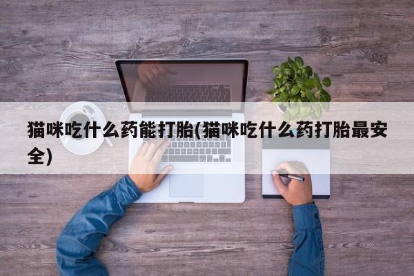 流产药在线购买微信猫咪吃什么药能打胎(猫咪吃什么药打胎最安全)