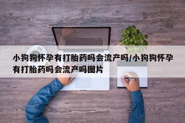流产药在线购买微信小狗狗怀孕有打胎药吗会流产吗/小狗狗怀孕有打胎药吗会流产吗图片