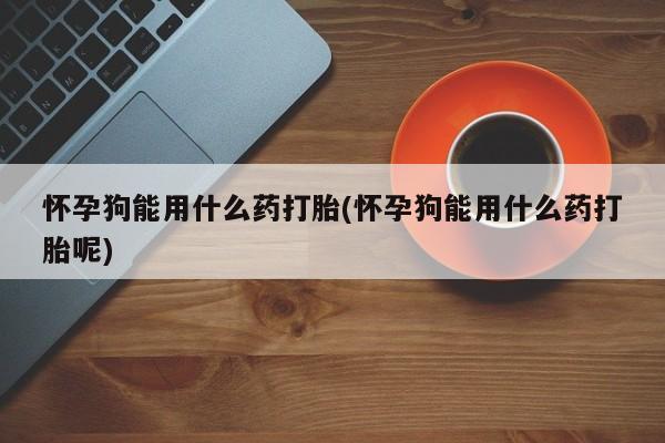 流产药在线购买微信怀孕狗能用什么药打胎(怀孕狗能用什么药打胎呢)